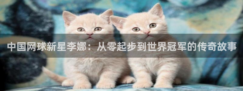 谈球吧