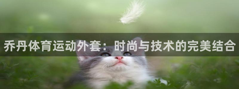 谈球吧