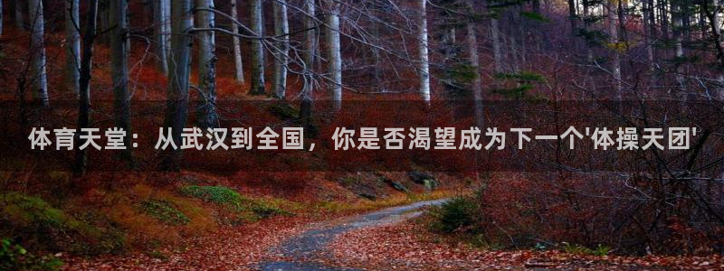 谈球吧体育