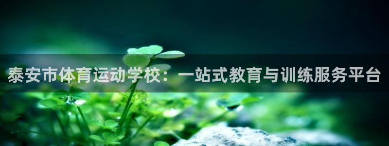 谈球吧