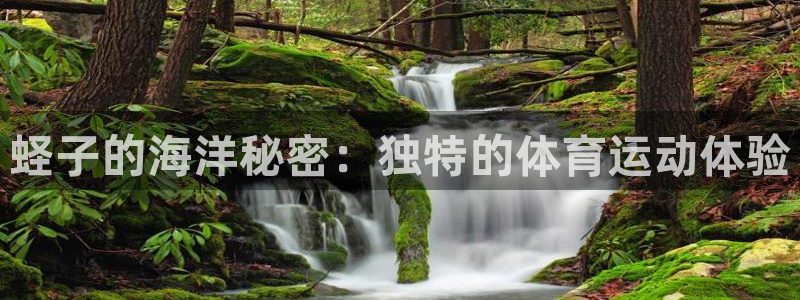 谈球吧