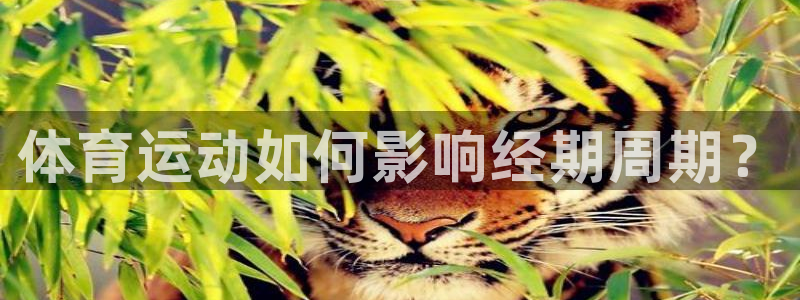 谈球吧